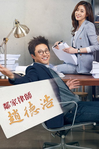 邻家律师赵德浩海报