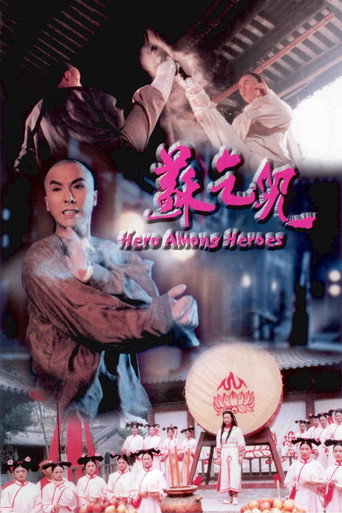 苏乞儿海报