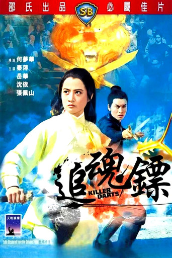 追魂镖海报