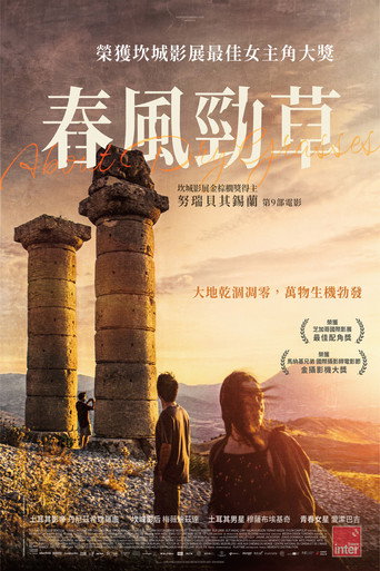 枯草海报