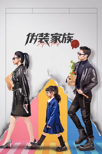 伪装家族海报