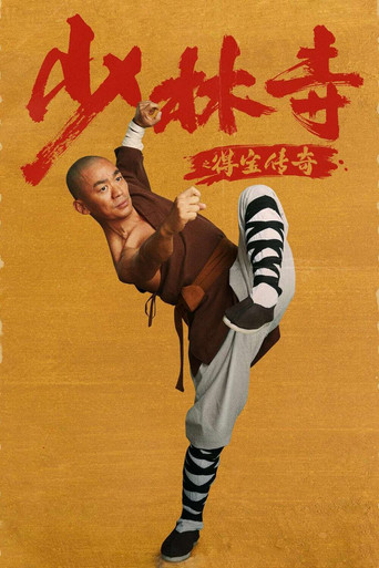 少林寺之得宝传奇海报