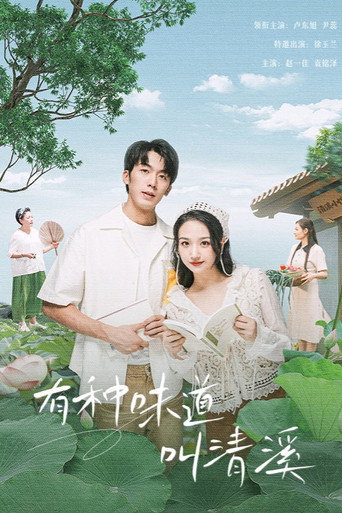 有种味道叫清溪海报