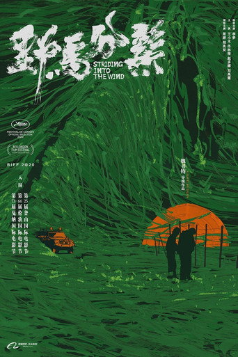 野马分鬃海报