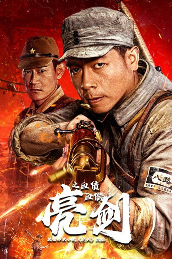 亮剑之血债血偿海报