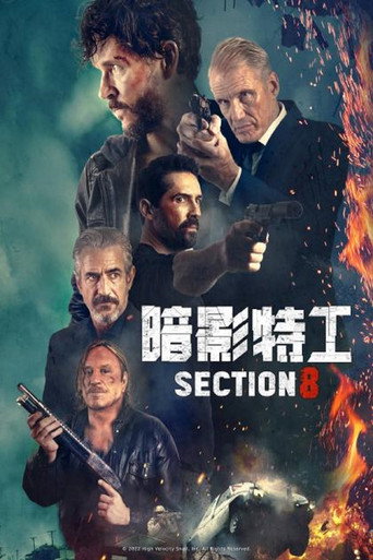 暗影特工海报