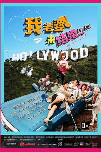 我老婆未结婚海报