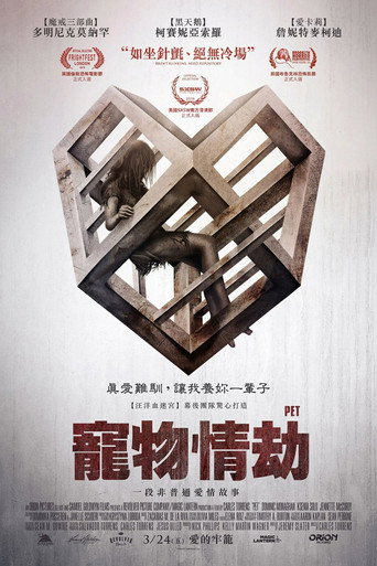 爱宠海报