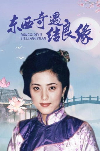 东西奇遇结良缘海报