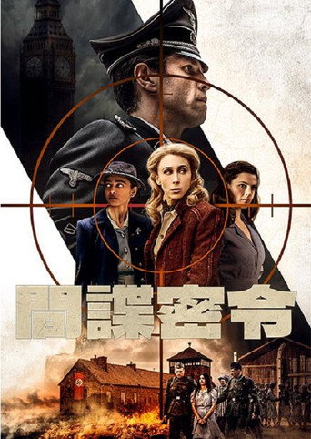 自由主义者：间谍的时代海报