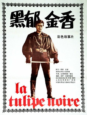 黑郁金香海报