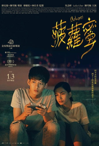 菠萝蜜海报