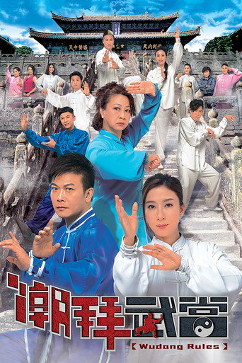 潮拜武当海报