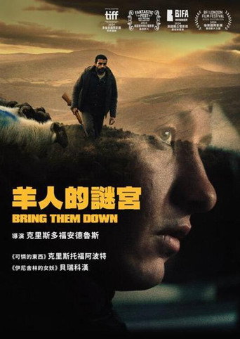 打倒他们海报