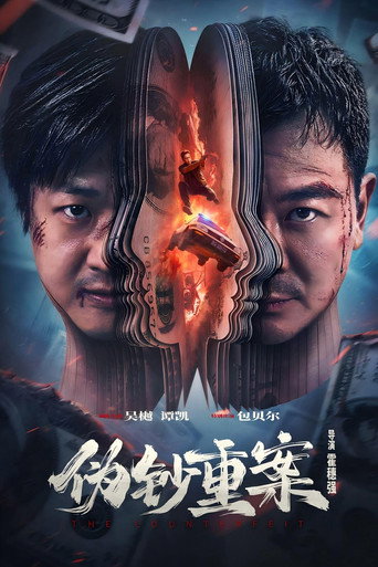 伪钞重案海报