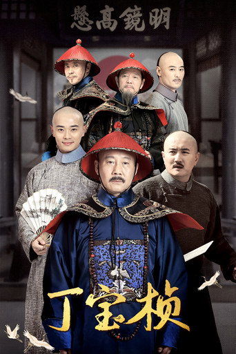 丁宝桢海报