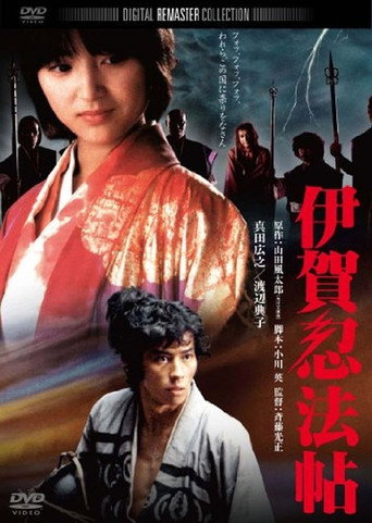 伊贺忍法帖海报