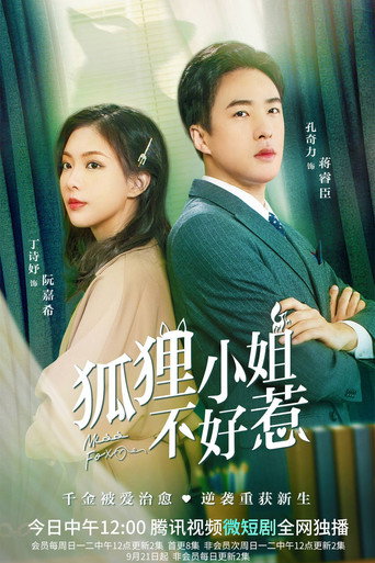 狐狸小姐不好惹 第 1 季海报