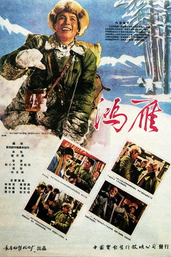 鸿雁海报
