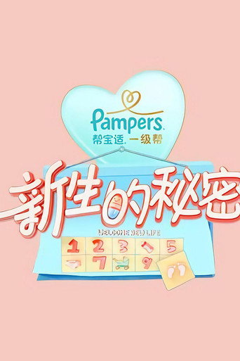 新生的秘密海报