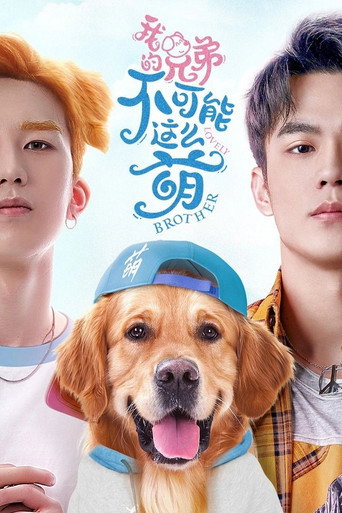 我的兄弟不可能这么萌海报