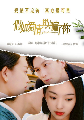 假如爱情欺骗了你海报