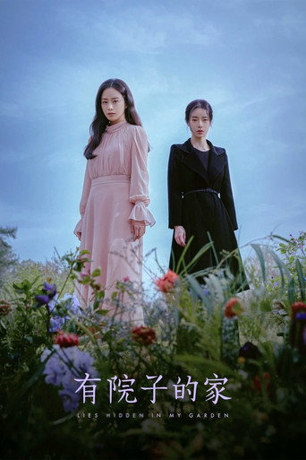 有院子的家海报