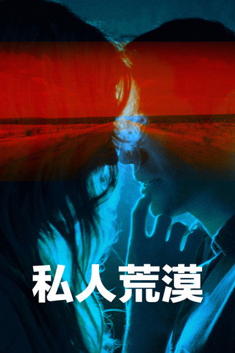 私人荒漠海报