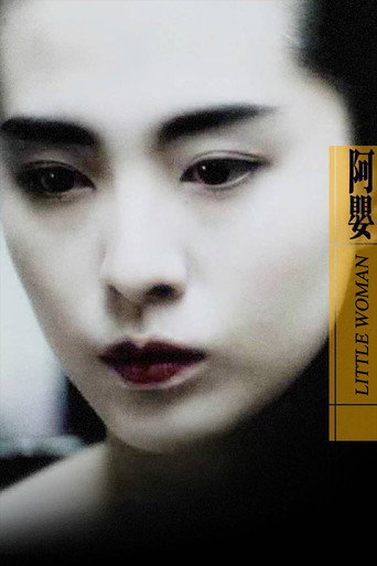 阿婴海报