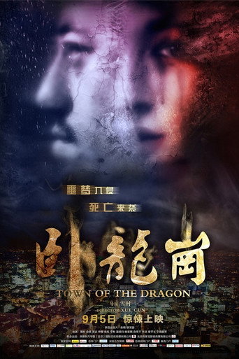 卧龙岗海报