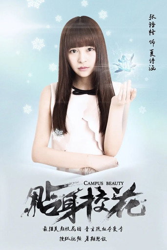 贴身校花海报
