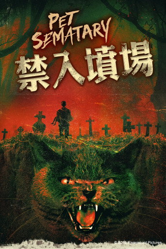宠物坟场海报