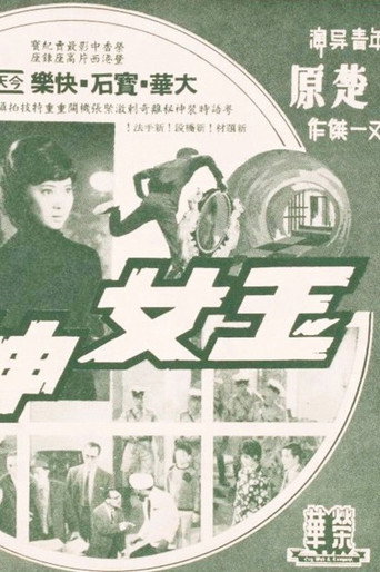 玉女神偷海报