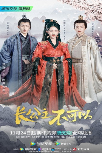 长公主不可以海报