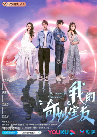 限定24小时 我的奇妙室友海报