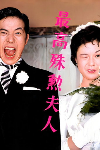最高殊勋夫人海报