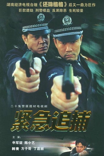 紧急追捕海报