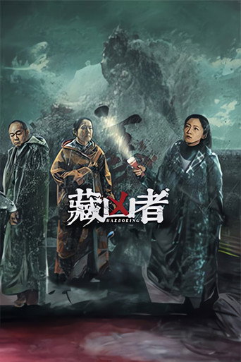 藏凶者海报