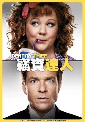 身份窃贼海报