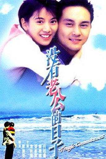 没有老公的日子海报
