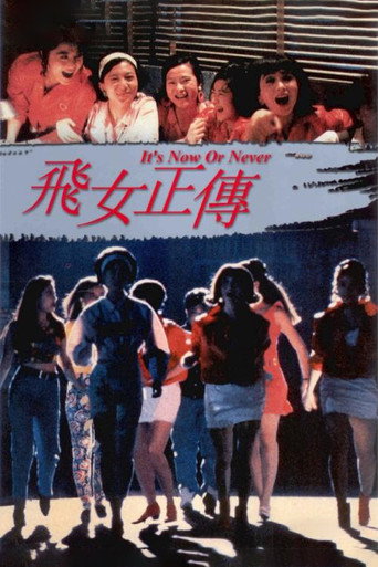 飞女正传海报
