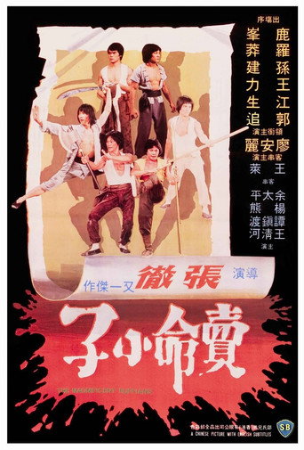 卖命小子海报
