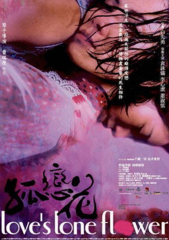 孤恋花海报