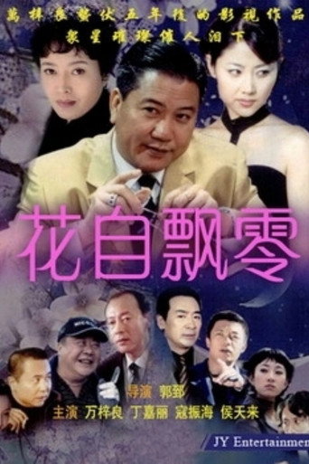 花自飘零海报