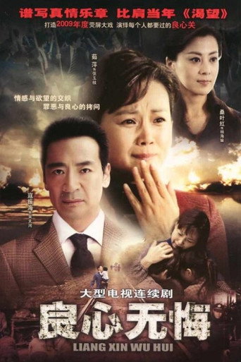 良心无悔海报