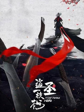 盗圣一枝梅海报