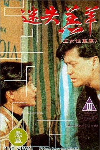 迷失羔羊海报