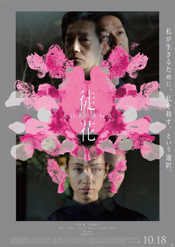 谎花海报