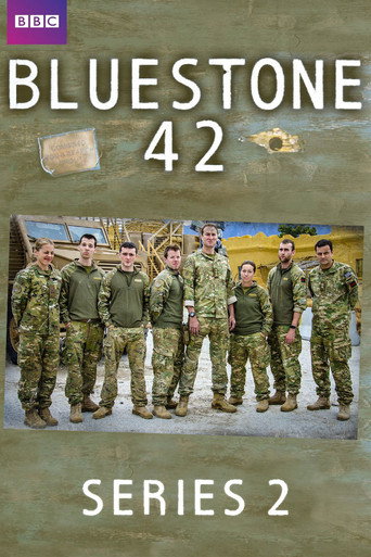 神奇兵营42 第 2 季海报