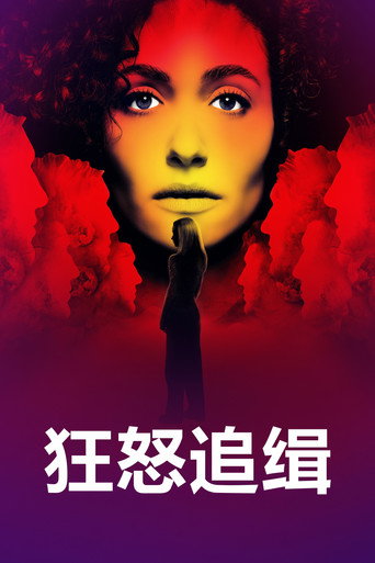狂怒追缉海报